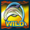 dolphin gold wild symbol