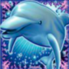 dolphin reef wild symbol