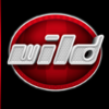 double game 2 wild symbol