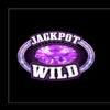 double jackpot gems wild 1 symbol