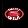 double jackpot gems wild 2 symbol