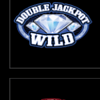 double jackpot gems wild 3 symbol