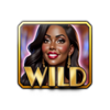 dozen jackpots wild symbol