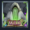 dragons castle wild symbol