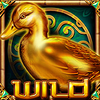 duck spell wild scatter symbol