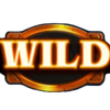 dungeons and dragons reel quest wild 2 symbol