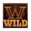 dynamos show wild symbol