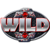 eagles flight power bet symbol wild 1