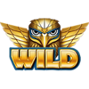 eagles flight power bet symbol wild 2