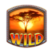 egglink silver pride wild symbl