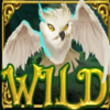 enchanted forest owl wild symbol