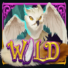 enchanted forest special owl wild symbol