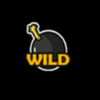epic gladiators wild symbol