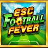 esc football fever wild symbol
