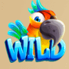 espresso games treasure island wild symbol