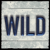eternal night wild symbol