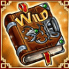 euro games technology book of magic wild symbol
