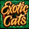 exotic cats wild 1 symbol