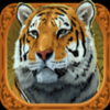exotic cats wild 3 symbol