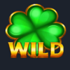 expanding master wild symbol