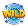 expansion wild symbol