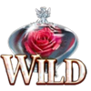 fairytale beauties 2 wild 2 symbol