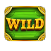 fanduel express wild symbol