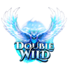 firebird double 27 1000x double wild symbol