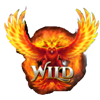 firebird double 27 1000x wild phoenix symbol