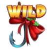 fish wishes wild symbol