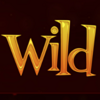 flaming spins wild symbol