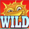 flowers powerpoints wild symbol