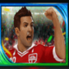 football frenzy wild symbol