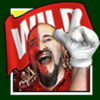 football rules wild symbol