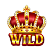 fortune crown gold gift wild 1 symbol