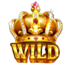 fortune crown gold gift wild 2 symbol