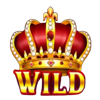 fortune crown wild symbol