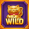 fortune dragon queen exotic wilds cat wild