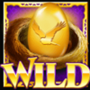 fortune falcon wild2 symbol