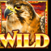 fortune falcon wild symbol