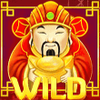 fortune fest wild symbol