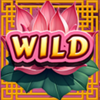 fortunes deluxeways wild symbol