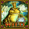 frog story wild symbol