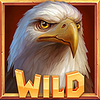 frontier falcon hold n link wild symbol