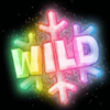 frozen fortunes wild symbol