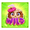 fruity megaways wild symbol