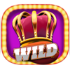 fruityliner joker wild 1 symbol