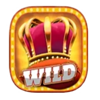fruityliner xxl wild symbol