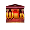 fury of odin wild symbol