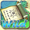 gate of ninja wild symbol
